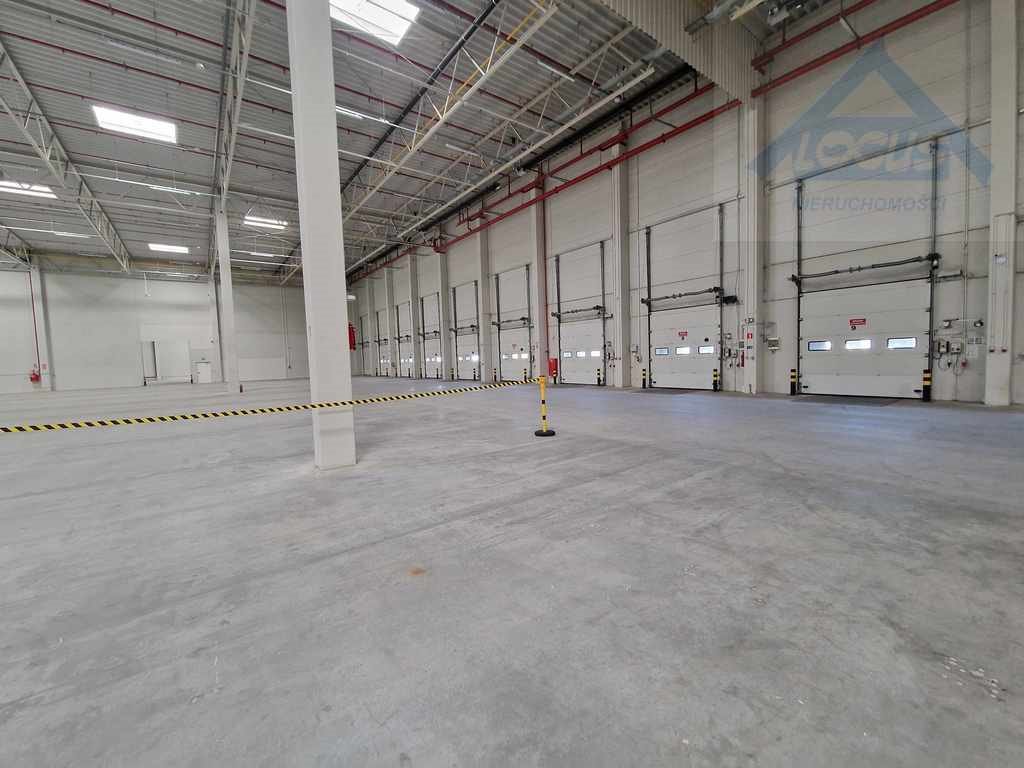 Magazyn na wynajem Ołtarzew  2 500m2 Foto 4