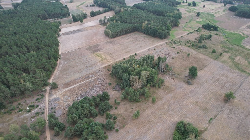 Działka rolna na sprzedaż Olszewka  3 000m2 Foto 8