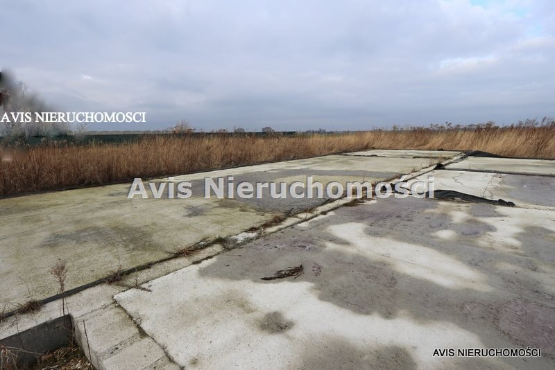 Działka inna na sprzedaż Tomkowa  1 300m2 Foto 3