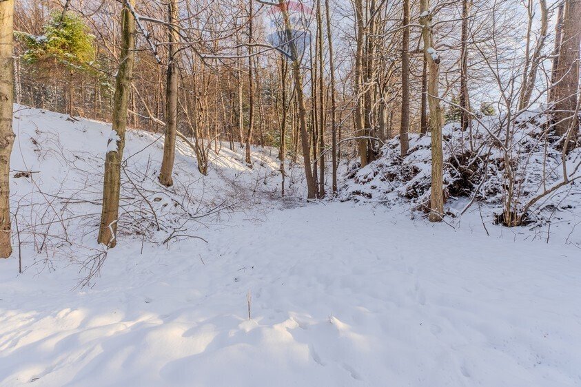 Działka budowlana na sprzedaż Bielsko-Biała, Narciarska  5 474m2 Foto 8