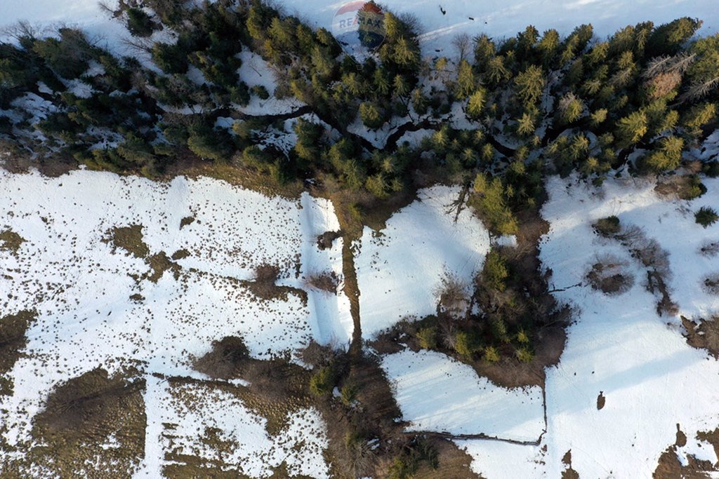 Działka rolna na sprzedaż Leśnica  3 665m2 Foto 6