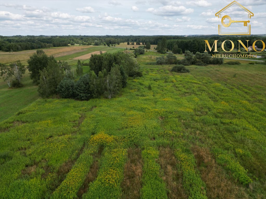 Działka budowlana na sprzedaż Piasek Wielki  26 800m2 Foto 11