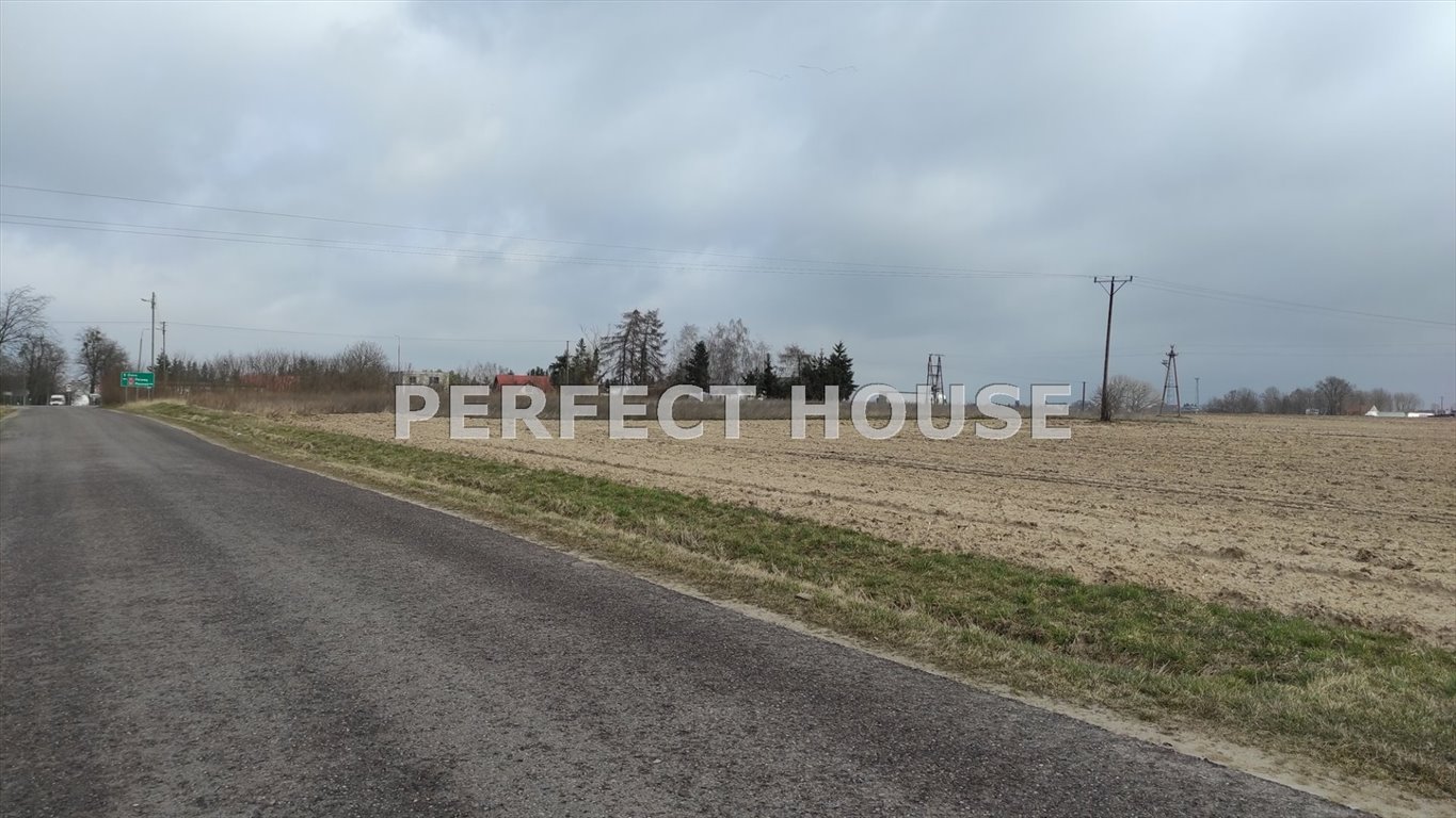 Działka inwestycyjna 1,83 ha z mediami i podziałem Rumianek Rumianek  10 000m2 Foto 1