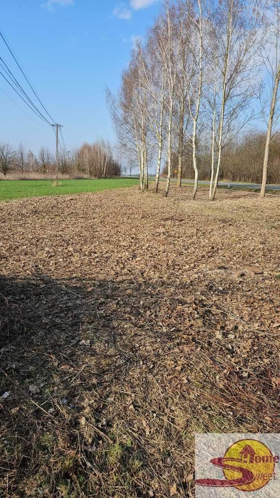 Działka inwestycyjna 10 972 m² z mediami, blisko centrum Zwoleń  10 972m2 Foto 1