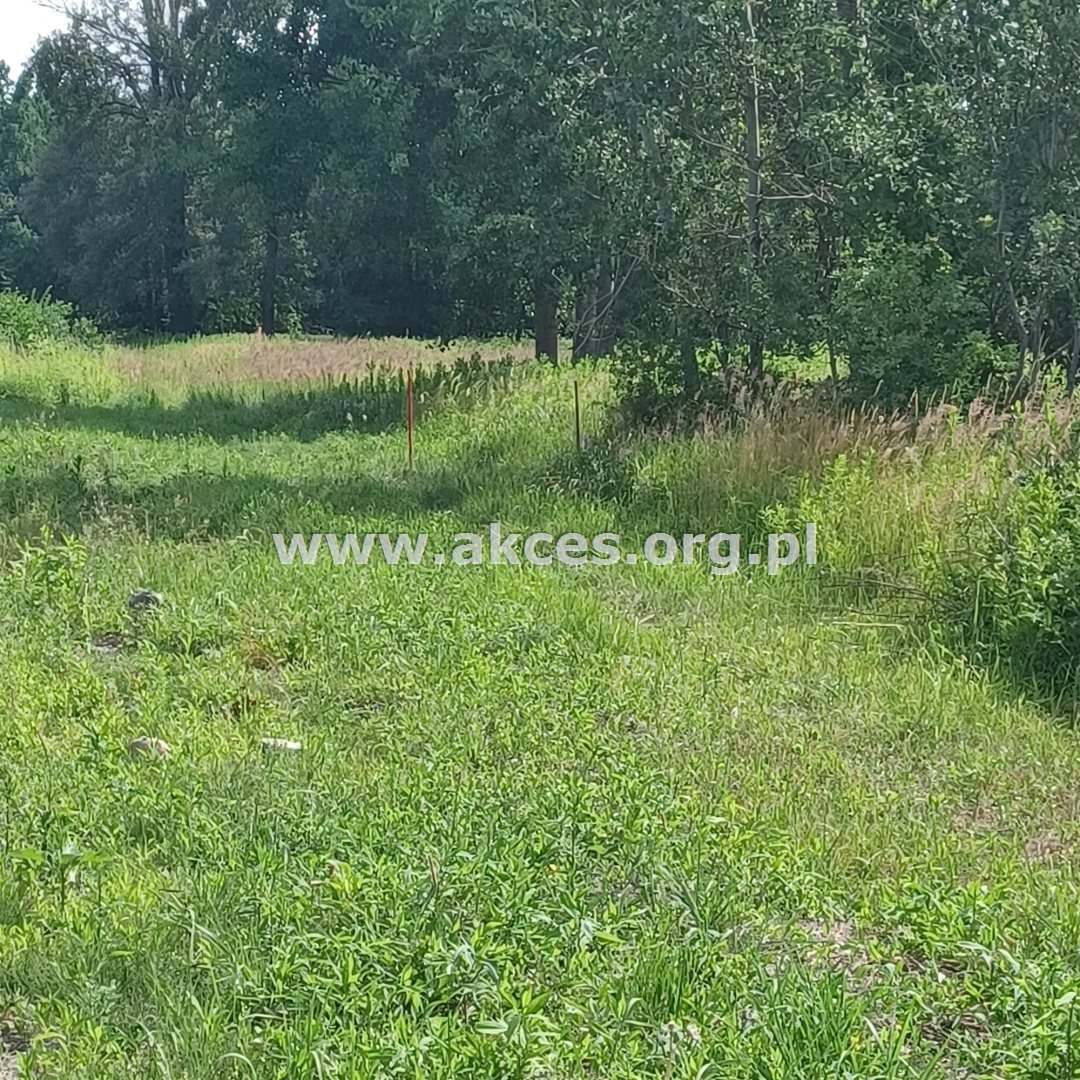 Działka budowlana na sprzedaż Chojnów  2 631m2 Foto 1