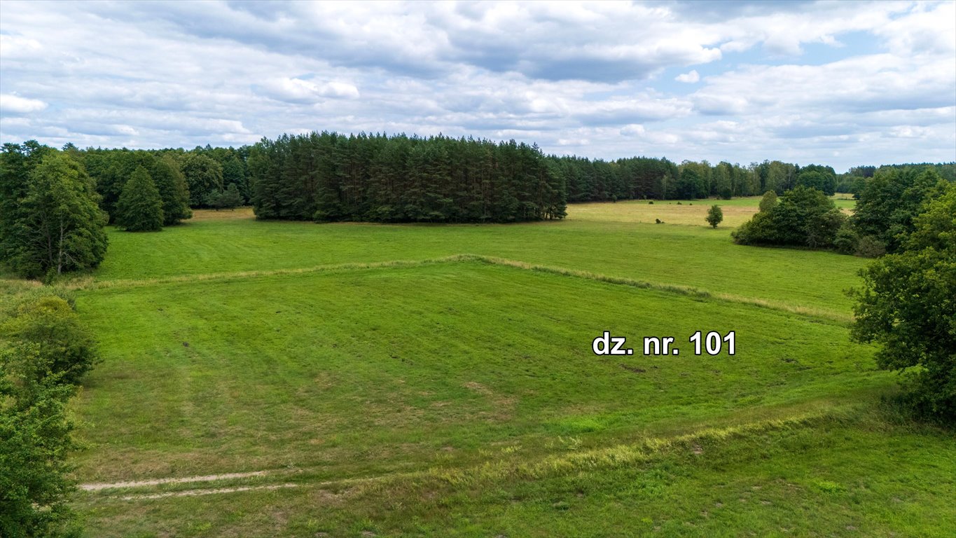 Działka rolna na sprzedaż Rekownica  25 000m2 Foto 3