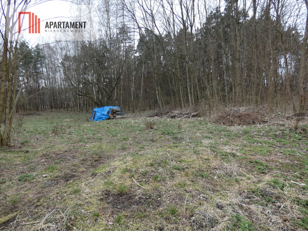 Działka rolno-leśna 7360m² blisko jeziora i plaży polecam Józefowo  7 360m2 Foto 1
