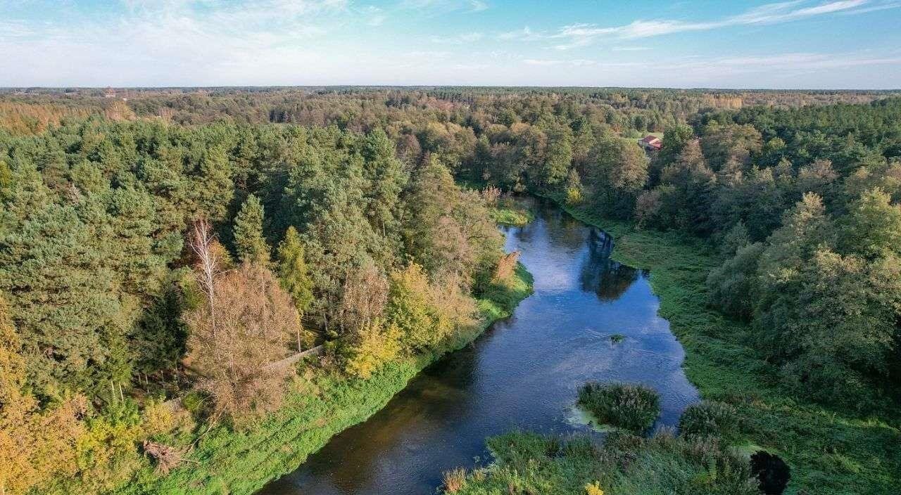 Działka budowlana na sprzedaż Krajęczyn  1 200m2 Foto 20