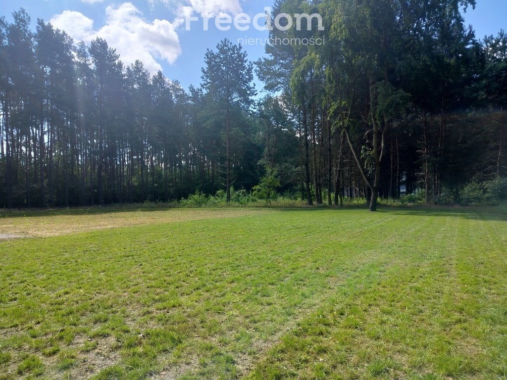 Działka budowlana na sprzedaż Osiek  1 623m2 Foto 3