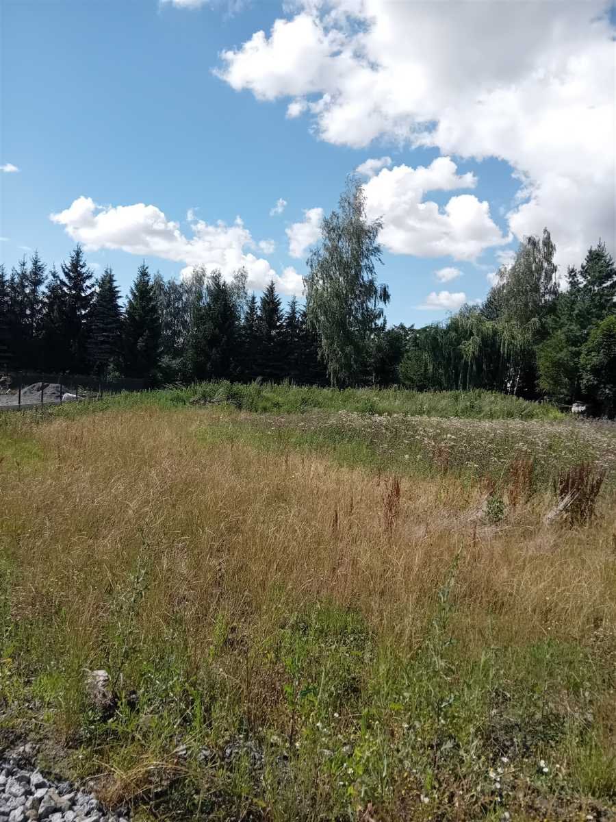 Działka budowlana na sprzedaż Dzierżoniów, Piława Dolna  1 570m2 Foto 4