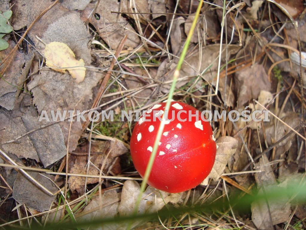 Działka budowlana na sprzedaż Żelechów  3 790m2 Foto 10