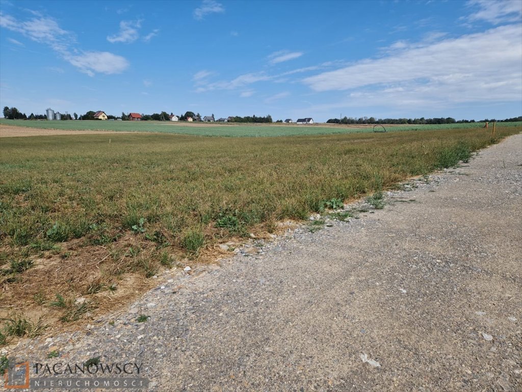 Działka budowlana na sprzedaż Sieciechowice  1 000m2 Foto 2