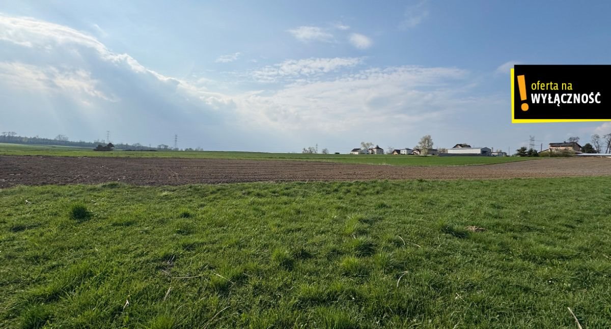 Polecam działkę 5093 m² w Dzimierzu - spokojna okolica, media, potencjał inwestycyjny Dzimierz  5 093m2 Foto 1
