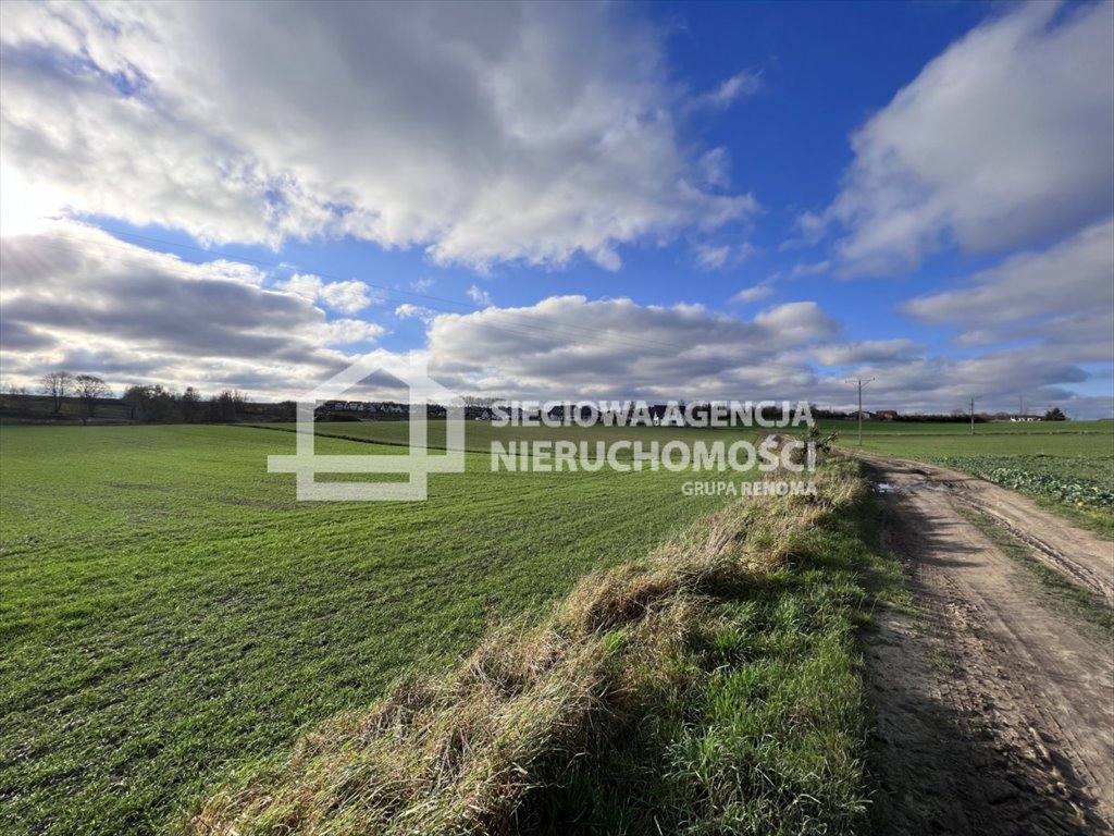 Działka budowlana na sprzedaż Dębogórze  1 000m2 Foto 2