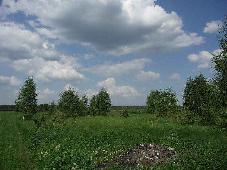 Działka rolna na sprzedaż Stare Babice, Borzęcin Duży  1 000m2 Foto 2