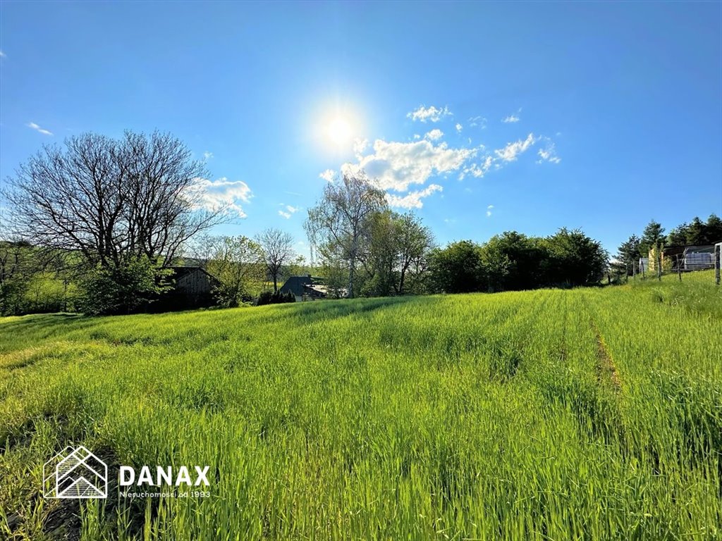 Widokowa działka budowlana 1560 m2 z mediami i dojazdem asfaltowym Grzegorzowice Wielkie  1 560m2 Foto 1