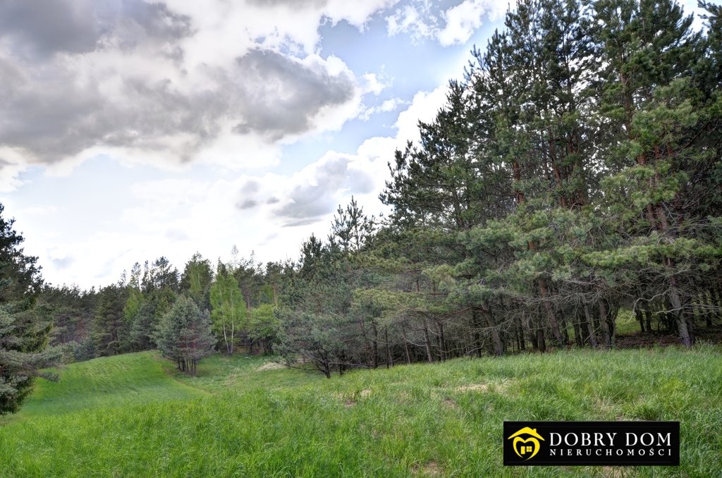 Działka z widokiem na jezioro i las – cisza i spokój Krasnopol  25 000m2 Foto 1