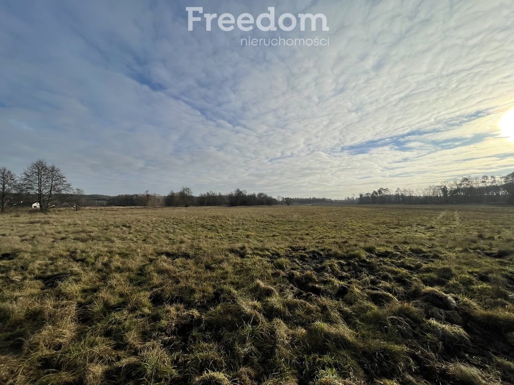 Działka budowlana na sprzedaż Różankowo  3 554m2 Foto 6