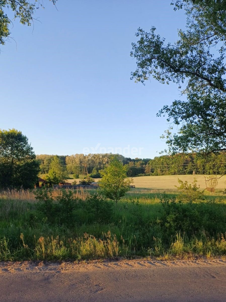 Działka budowlana na sprzedaż Świecko  1 868m2 Foto 6