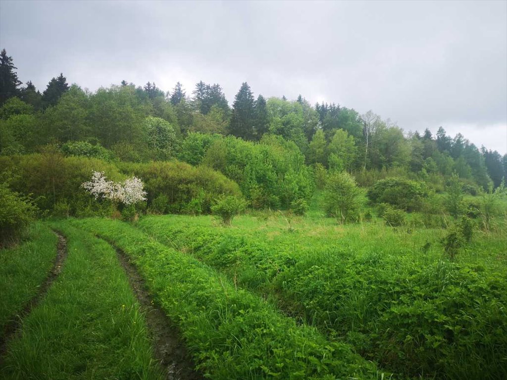 Działka inna na sprzedaż Kłodzko, Stary Wielisław  1 456m2 Foto 5