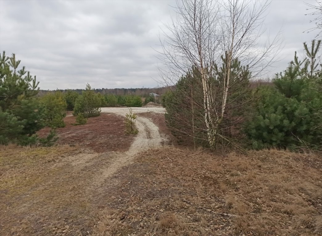 Działka inwestycyjna na sprzedaż Pokrytki  58 000m2 Foto 3