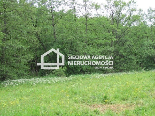 Duża działka 5600 m² z warunkami zabudowy w Marszewskiej Górze. Marszewska Góra  5 600m2 Foto 1