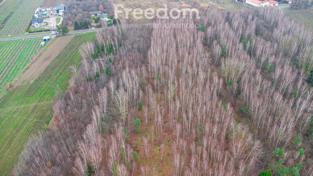 Działka inna na sprzedaż Suchostruga  18 600m2 Foto 13