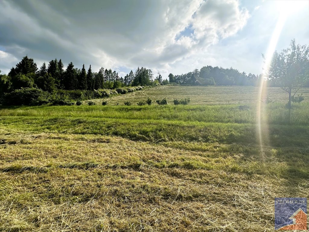 Działka budowlana na sprzedaż Pasierbiec  3 000m2 Foto 11