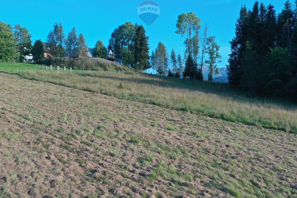 Działka budowlana na sprzedaż Zakopane  3 700m2 Foto 17