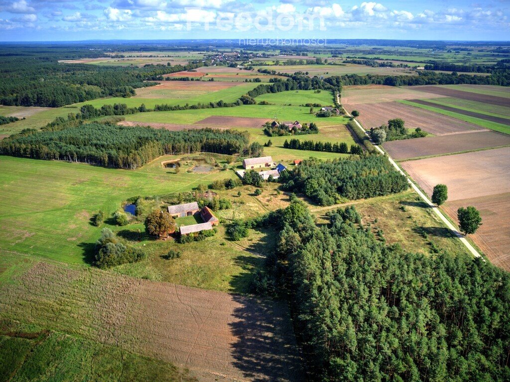 Dom na sprzedaż Jędrzejewo  300m2 Foto 8