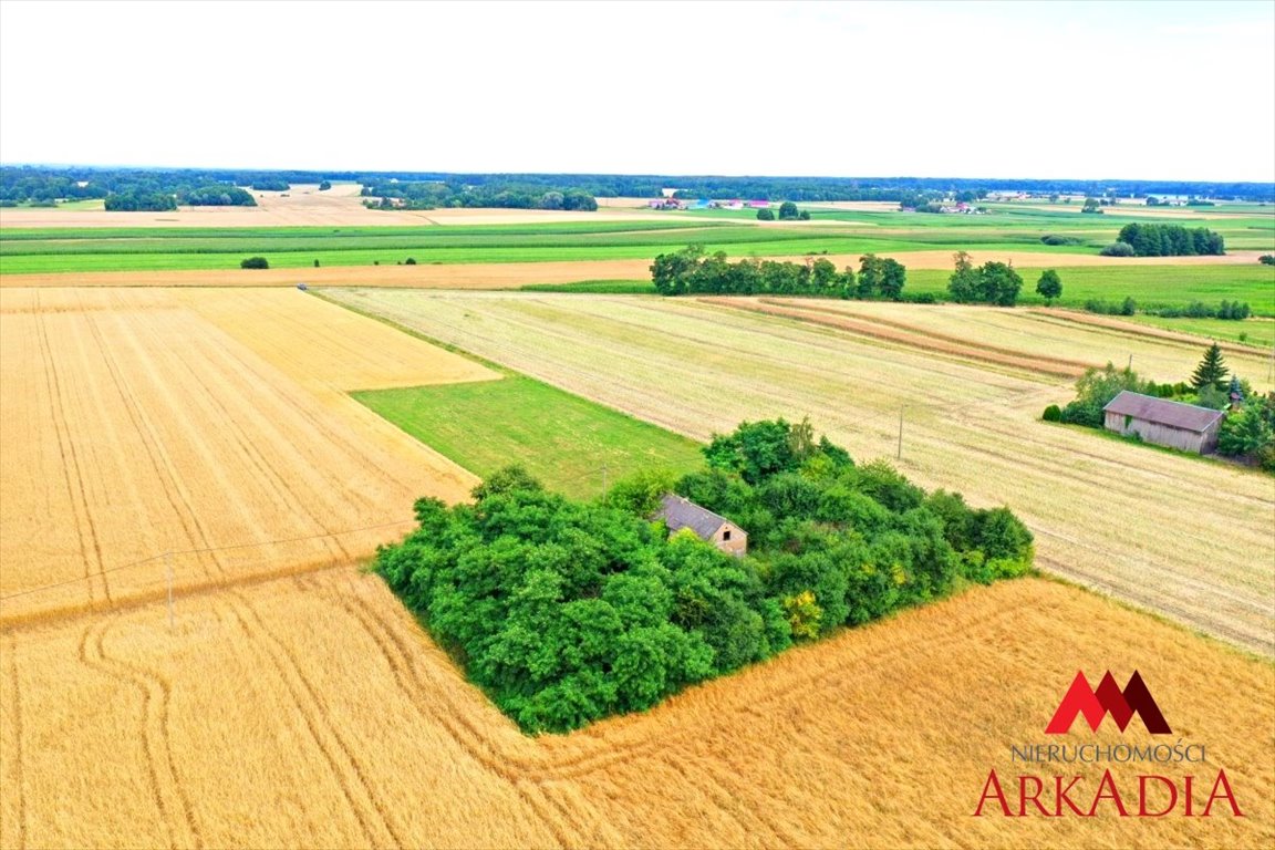 Działka budowlana na sprzedaż Kamienne Brody  5 086m2 Foto 2