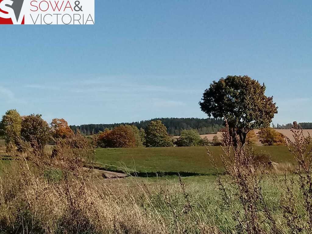 Działka budowlana na sprzedaż Krzeszówek  1 107m2 Foto 3