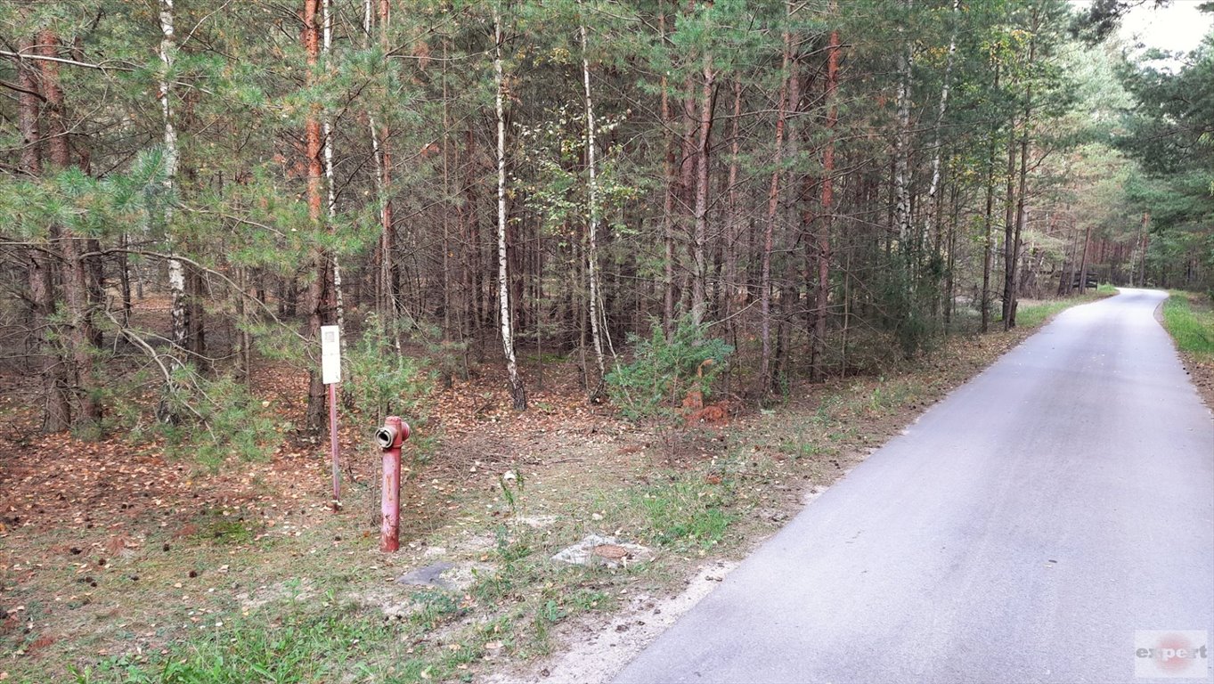 Działka 3021 m² z dostępem do Pilicy - ogrodzona media Aleksandrów  3 021m2 Foto 1