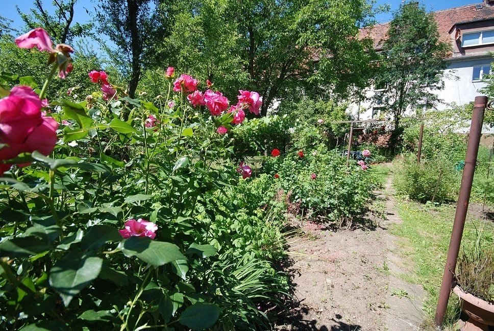 Mieszkanie dwupokojowe na sprzedaż Wrocław, Os. Biskupin, Aleksandra Kotsisa  52m2 Foto 9