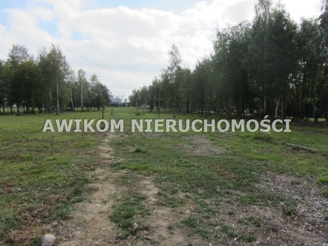 Działka budowlana 1150 m² w Radziejowicach - polecam!: Radziejowice-Parcel