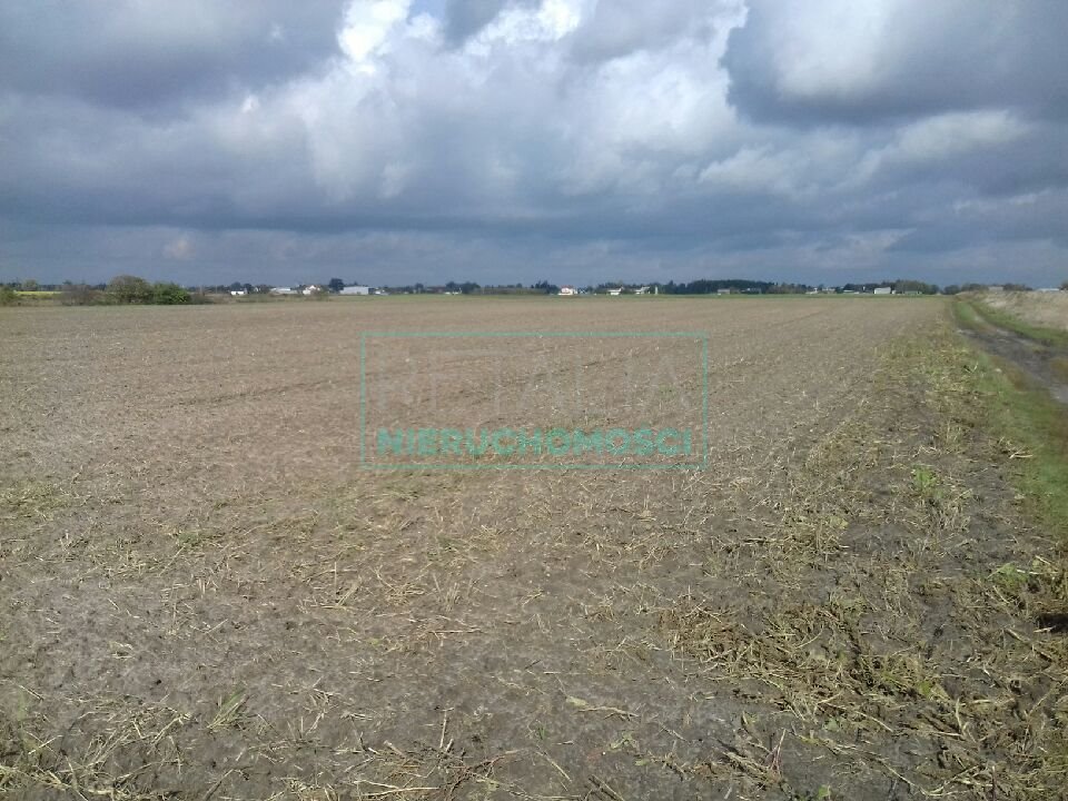 Działka 8 400 m² w Domaniewku z potencjałem rozwoju Domaniewek  8 400m2 Foto 1