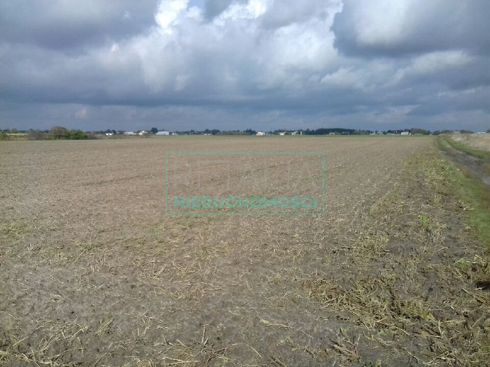 Działka rolna na sprzedaż Domaniewek  8 400m2 Foto 1