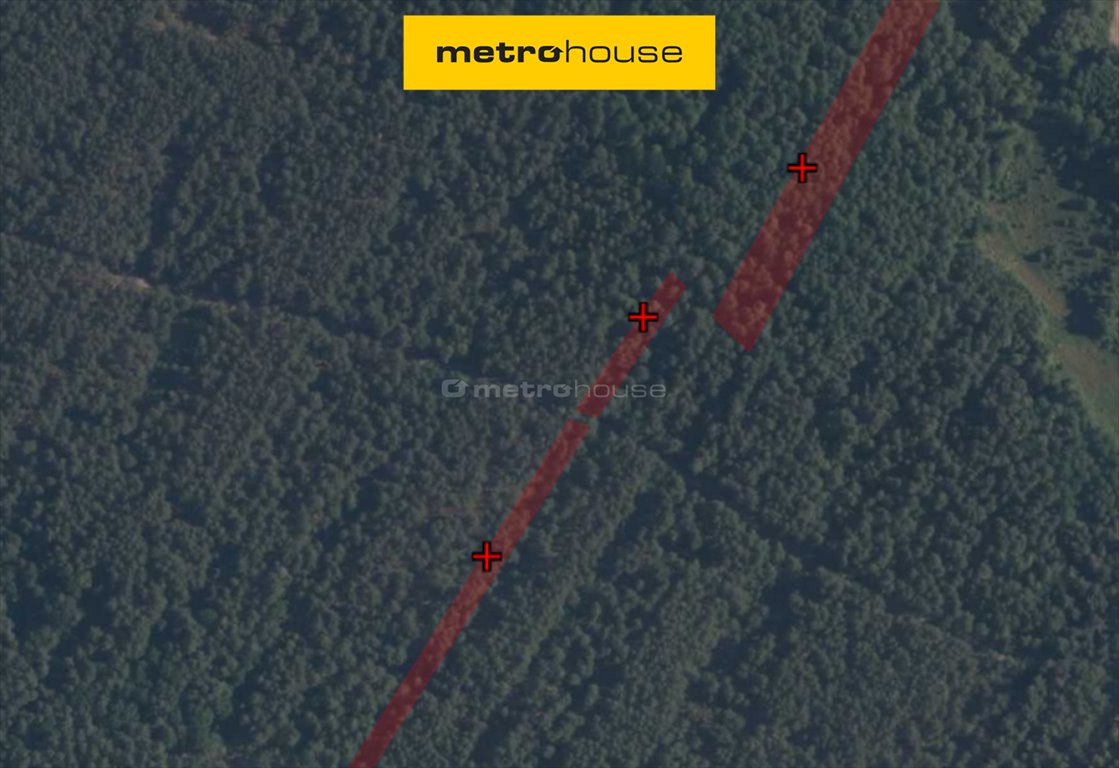 Działka leśna na sprzedaż Lipniak  8 172m2 Foto 1