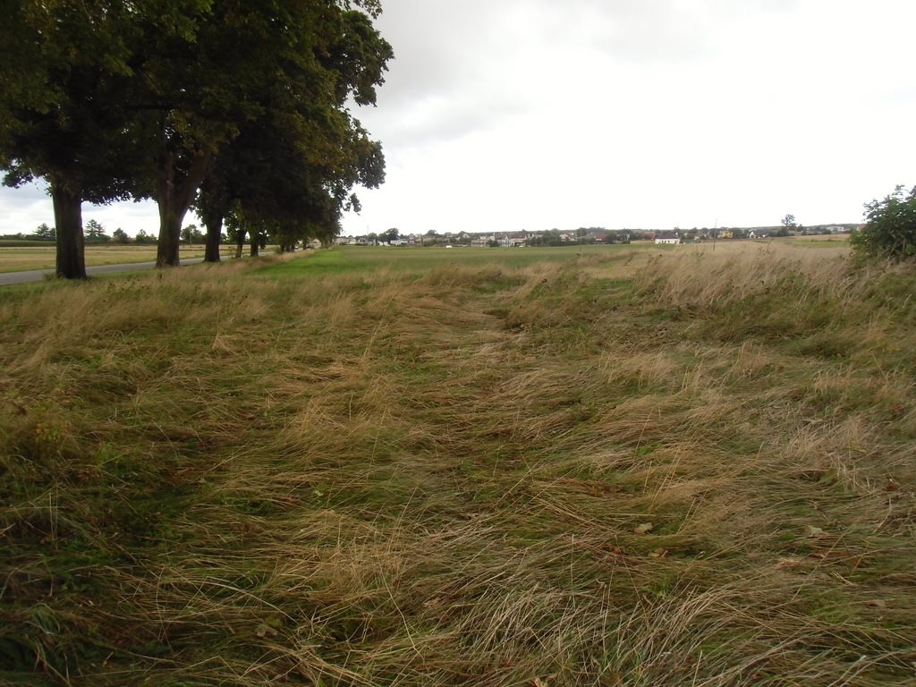 Działka budowlana na sprzedaż Łebcz  1 660m2 Foto 2