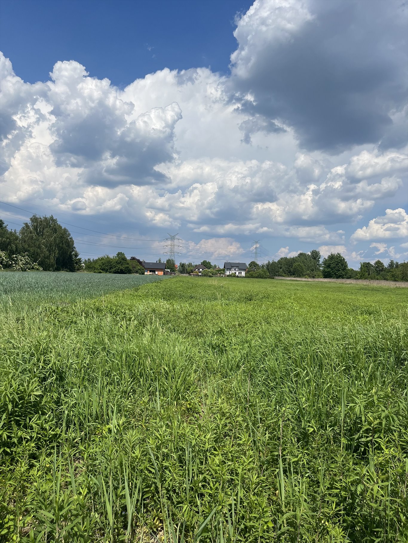 Działka budowlana na sprzedaż Stare Babice, Koczarska  1 600m2 Foto 6