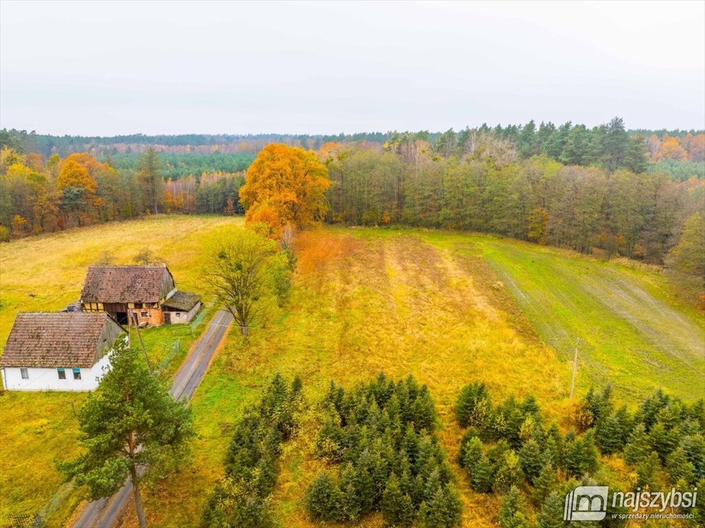 Działka budowlana na sprzedaż Węgorza, Wieś  1 500m2 Foto 5