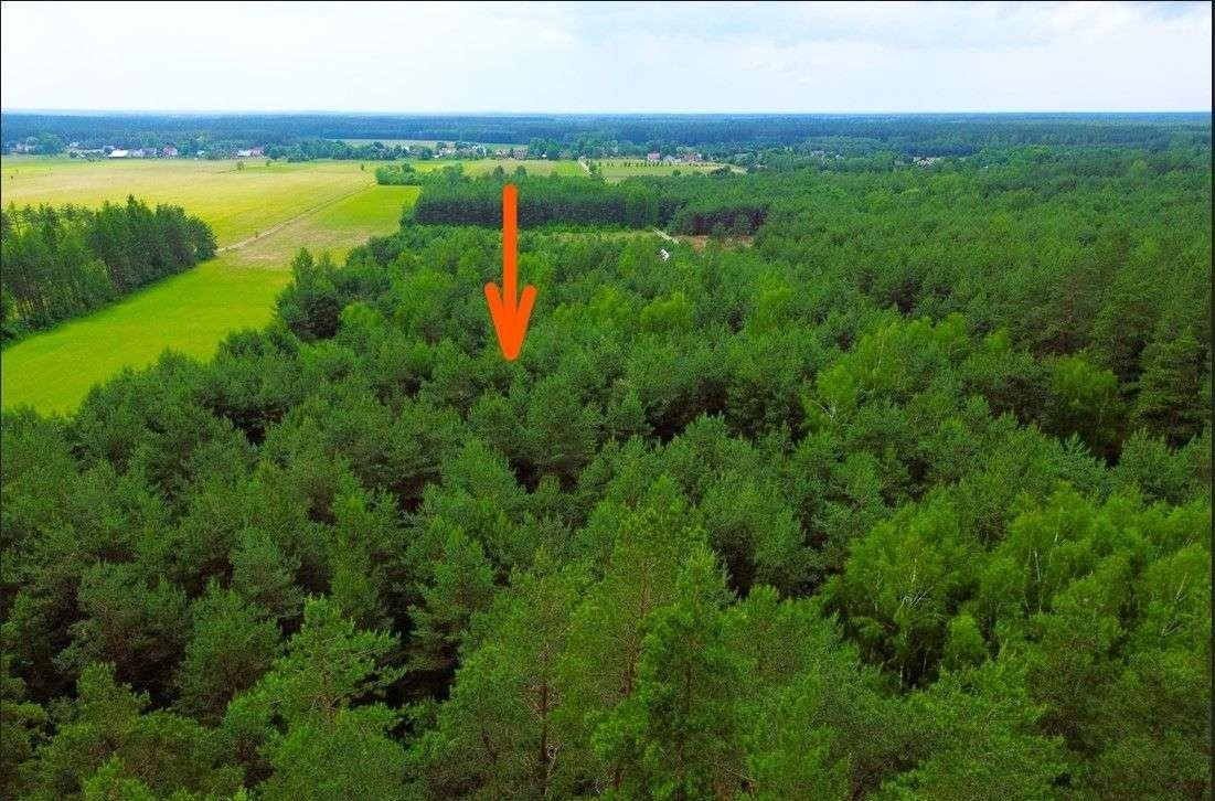 Działka rolna na sprzedaż Faryny  11 000m2 Foto 3