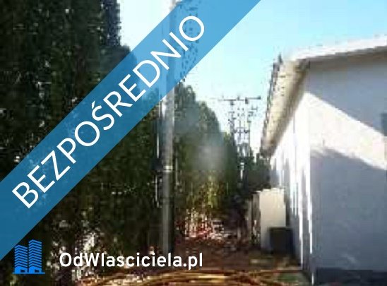 Lokal użytkowy na sprzedaż Przyczyna Dolna, Przyczyna Dolna 39  2 332m2 Foto 5