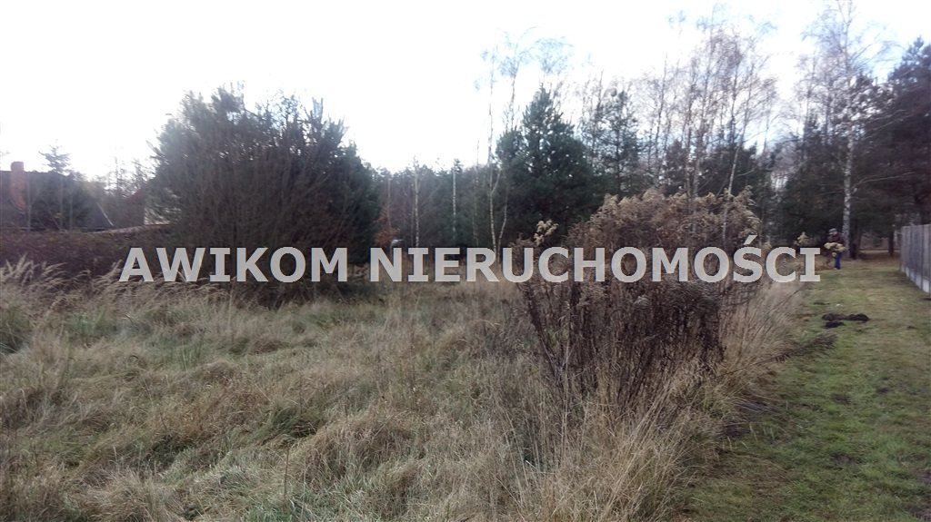 Działka 5600 m² w lesie, blisko autostrady A2 Antoniew  5 600m2 Foto 1