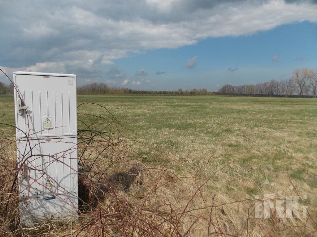 Działka budowlana na sprzedaż Zator  3 006m2 Foto 5