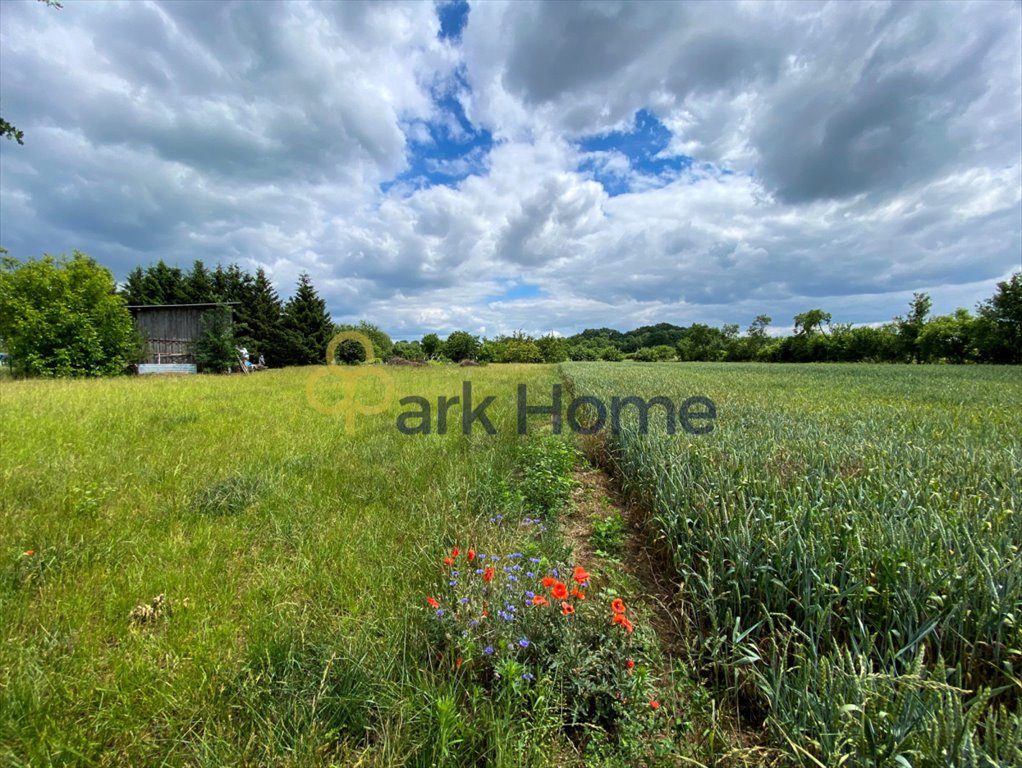 Dom na sprzedaż Rosin  220m2 Foto 5