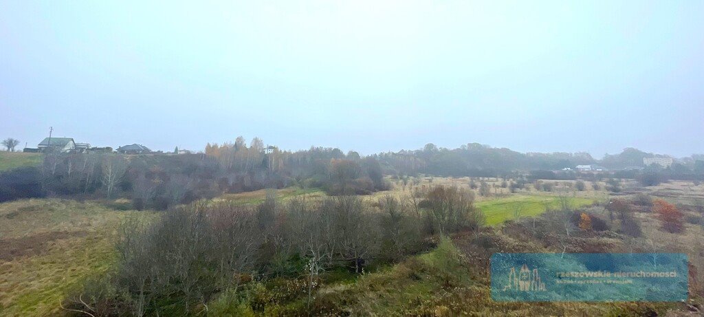 Działka rolna na sprzedaż Rzeszów  5 000m2 Foto 3