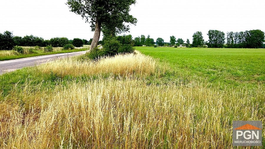 Działka 3000 m² w Trzebieszewie, media w drodze - polecam! Trzebieszewo  3 000m2 Foto 1