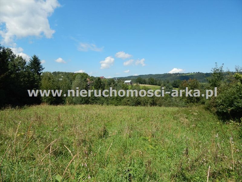 Działka budowlana na sprzedaż Limanowa, Lipowe 2 100m2 Foto 1 Działka budowlana na sprzedaż Limanowa, Lipowe 2 100m2 Foto 1