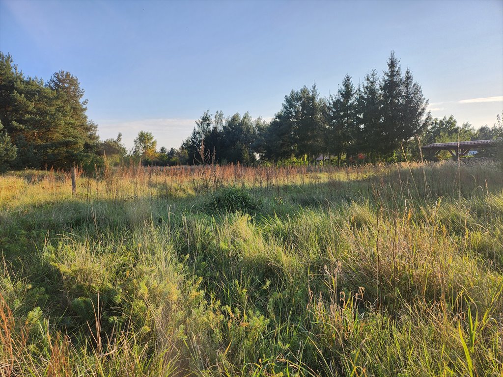 Działka budowlana na sprzedaż Przybyszewo, Henrykowska  2 548m2 Foto 7